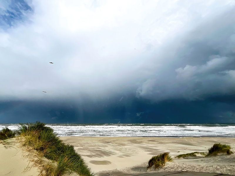 Mer du Nord avec averses et vents tempétueux par Bart Vastenhouw