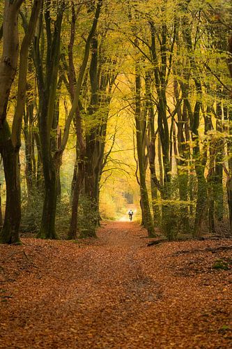 Fietser op Landgoed Marienwaerdt