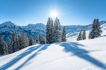 Winterlicher Ausblick auf die Allgäuer Alpen