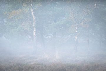 Autumn fog van John Goossens Photography