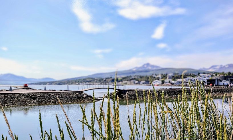 Akureyri, Iceland, motif 1 by zam art