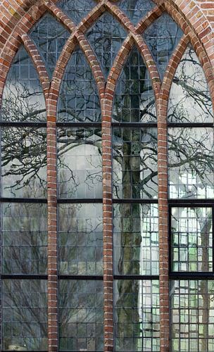 de boom in de kerk van Bleiswijk!