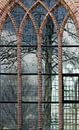 de boom in de kerk van Bleiswijk! by Peter de Ruig thumbnail