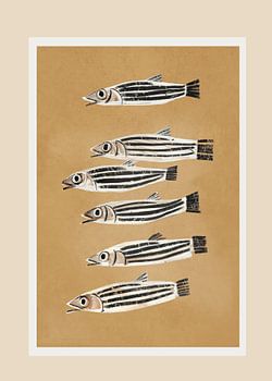 Studie zu Minimal Fish
