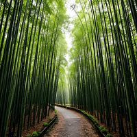 Artificial bamboo forest
