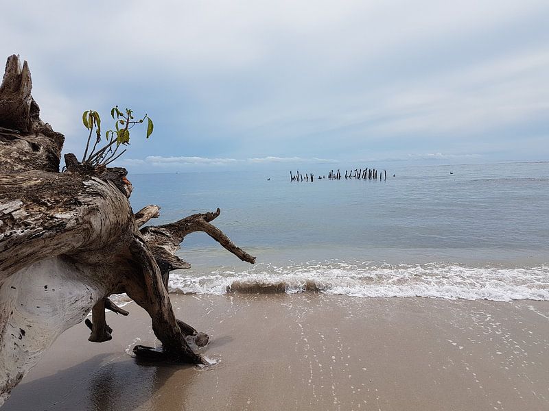 Strand  by Joelle van Buren