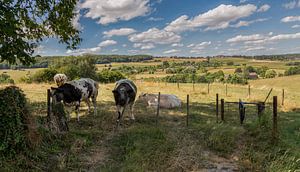 Blick auf Epen in Süd-Limburg
