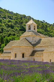 Lavender field at the Sénanque Abbey in the Provence by Sjoerd van der Wal Photography