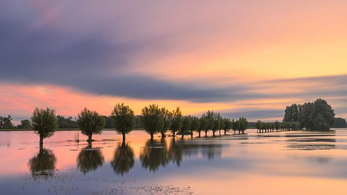 Zonsopkomst in natuurgebied Noordma, Drenthe