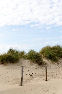 Texel | strand | duinen van Claudia van Kuijk