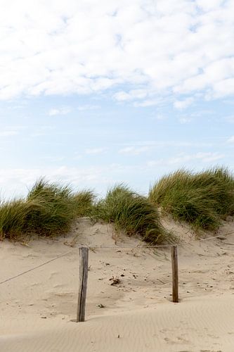 Texel | strand | duinen