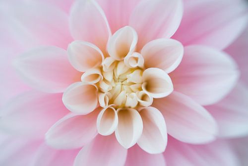 So schön, fast heiter...