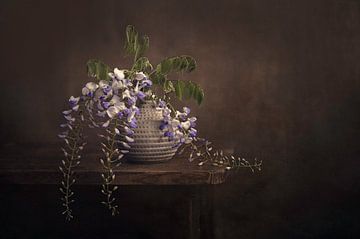 Modern still life wisteria by Silvia Thiel