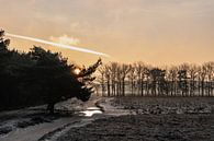 Winterlandschaft mit Sonnenaufgang Bussumerheide von Maikel Dijkhuis Miniaturansicht