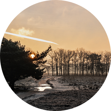 Winterlandschap met zonsopkomst Bussumerheide van Maikel Dijkhuis