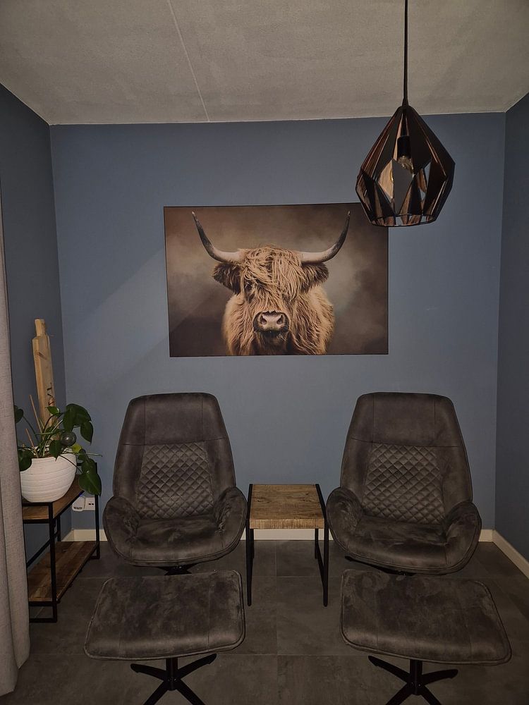 Scottish Highland Cow  by Diana van Tankeren 