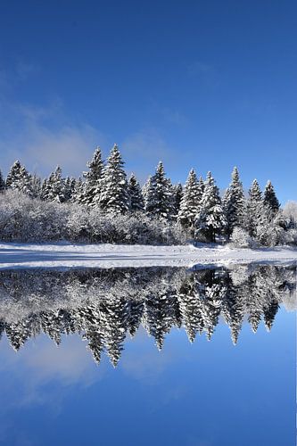 De eerste sneeuw op het meer