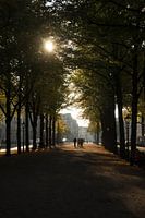 Autumn in the city