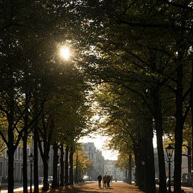 Autumn in the city by Martijn Stoppels