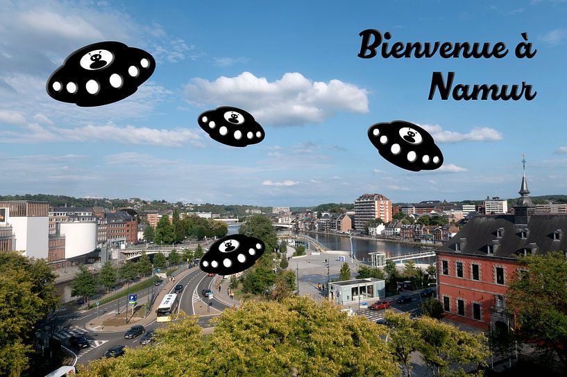 Bienvenue à Namur. by Grüntyers .