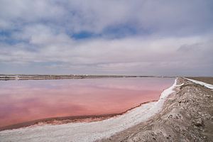 Blick auf einen der rosa Salzseen