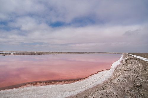 Overzicht van een van de roze zoutmeren