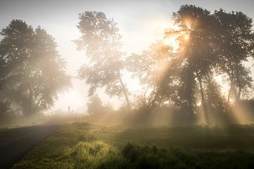 Foggy Morning van Rob van der Wal