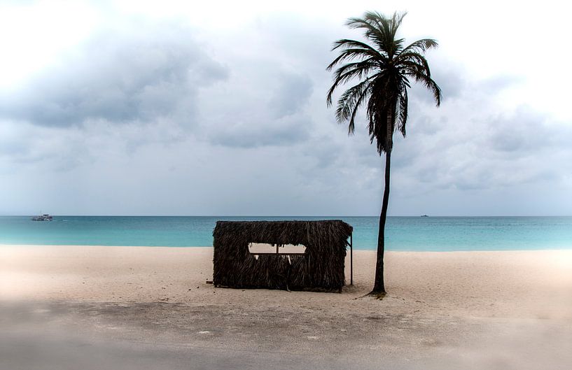 Aruba by Melien Suranno