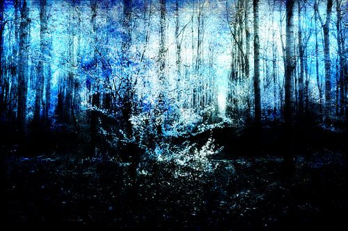 Aan het eind van een bos #02