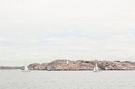 Sailing in Sweden by Chantal Kielman thumbnail