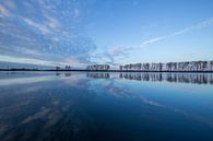 Baie des bisons, Ooijpolder par Paulien Varkevisser Aperçu