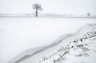 Bavel in sneeuw 4 van Peter Smeekens thumbnail