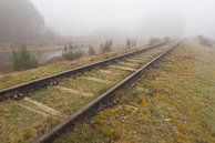 Oude spoorlijn Borkense Baan€ nabij de Duitse grens in de g von Tonko Oosterink Miniaturansicht