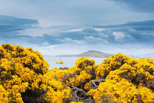 Un bateau aux couleurs discrètes