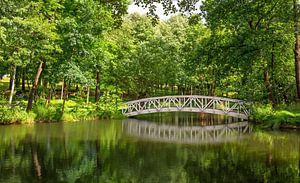 Holzbrücke