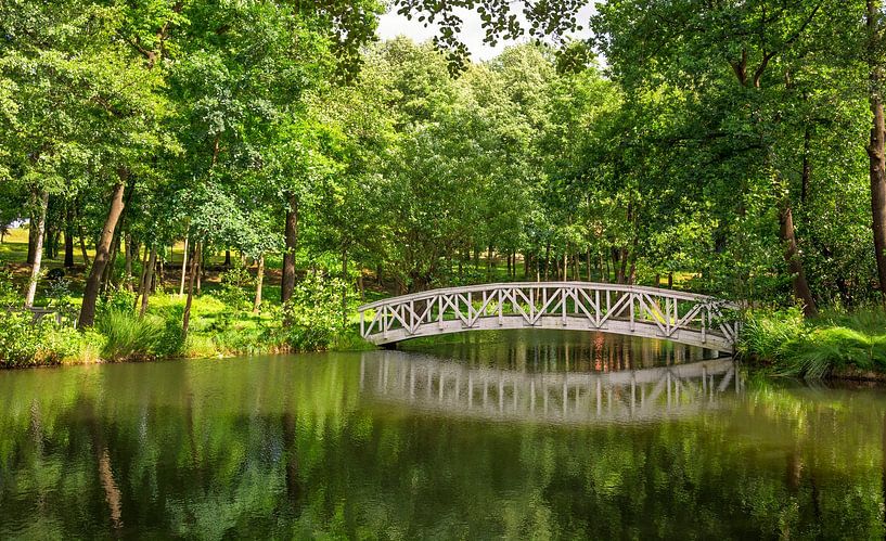 Pont en bois par Johann Pavelka