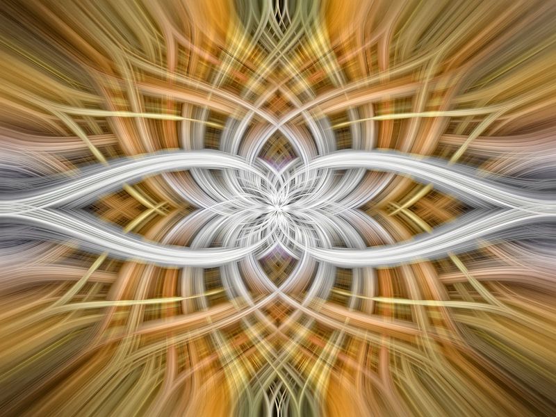 Lotus 6 by Jan van Reij