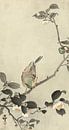 Bunting on blossom branch of Ohara Koson by Gave Meesters thumbnail