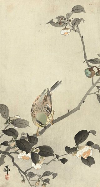 Bunting on blossom branch of Ohara Koson by Gave Meesters