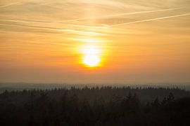 Avond boven het bos sur Marko de Jong