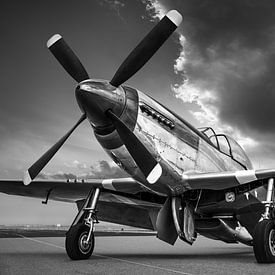 mustang p51 sur Frank Peters