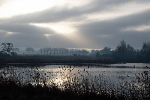 The Braakman in Zeeland , winter morning by Anne Hana