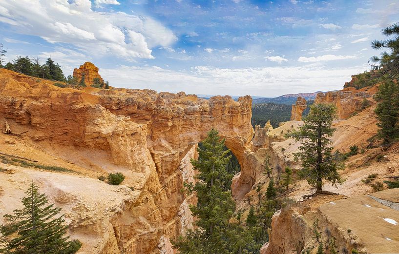 Bryce Canyon National Park, USA. Panoramafoto von Gert Hilbink