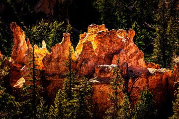 gloeiende hoodoos bij Bryce Canyon National Park in Utah USA van Dieter Walther