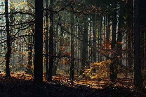 Herfst
