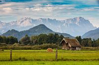 Murnauer Moos mit Zugspitzblick
