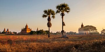 Bagan sur Antwan Janssen