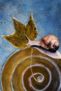 Roman snail by Christine Nöhmeier