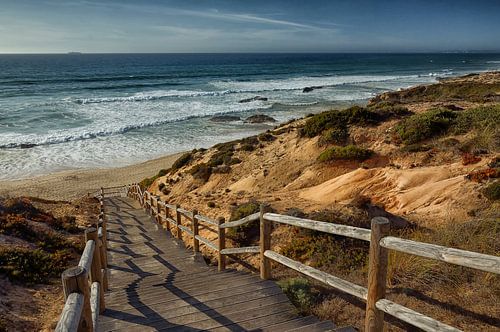 Dune landscape in the Alentejo, Portugal