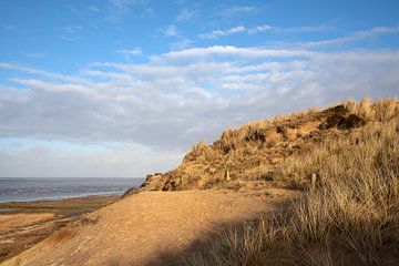 Sylt, Nordfriesland, Allemagne sur Alexander Ludwig